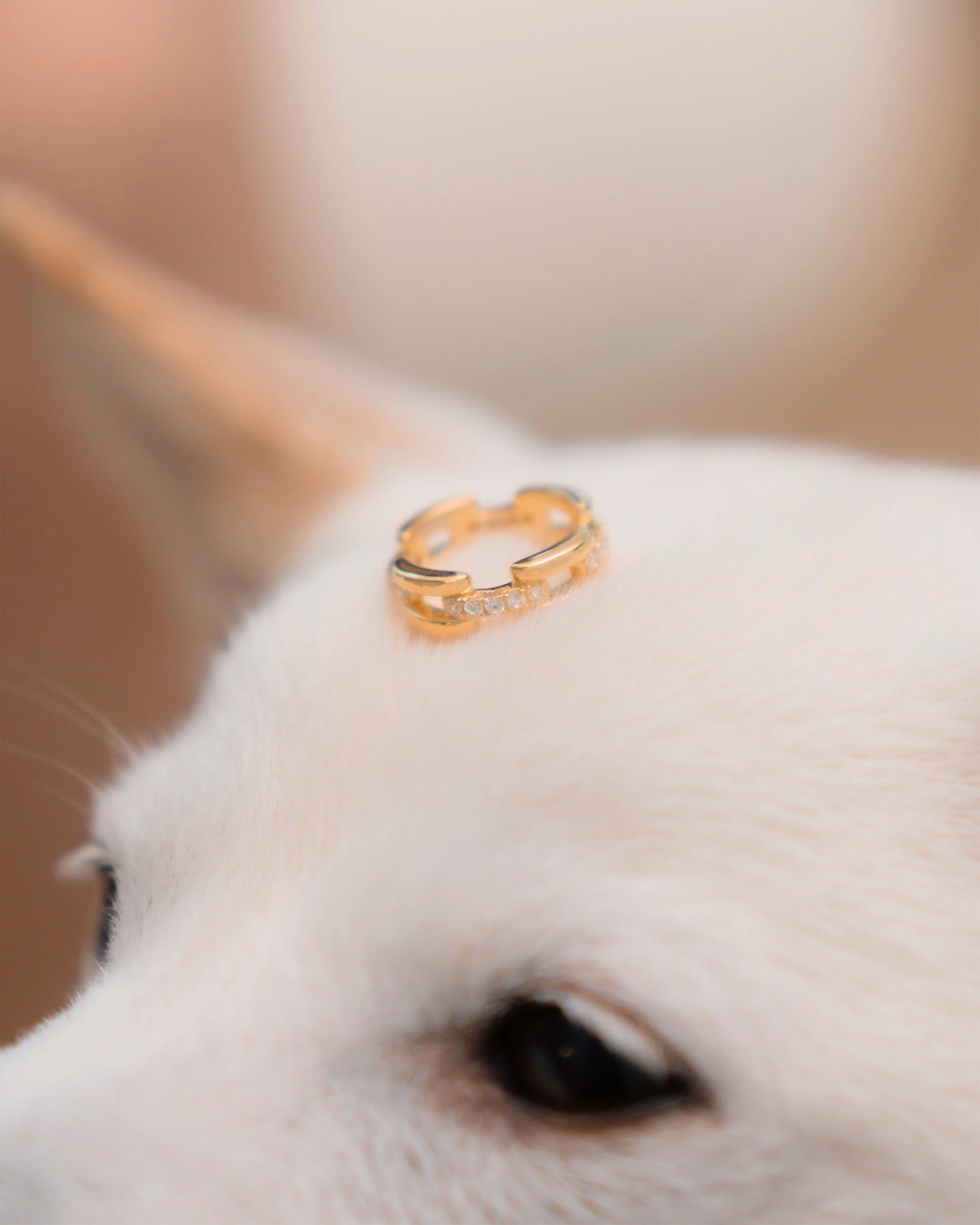 Wabi Ring 2.0 - 18K Gold - Image 3